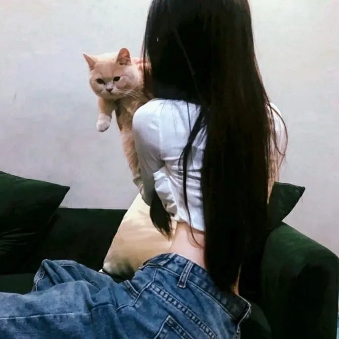 盗贼生涯